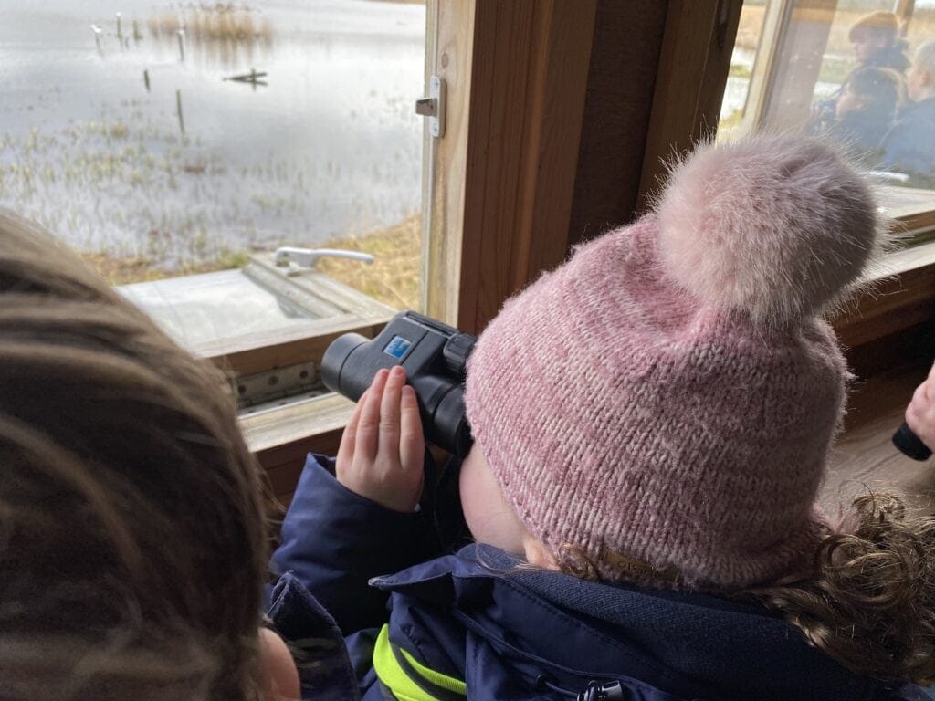 bird watching at Leighton Moss