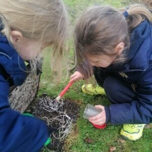 Searching for mini beasts